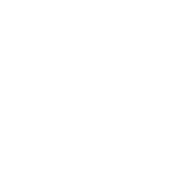 dollar-icon