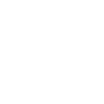 global-icon