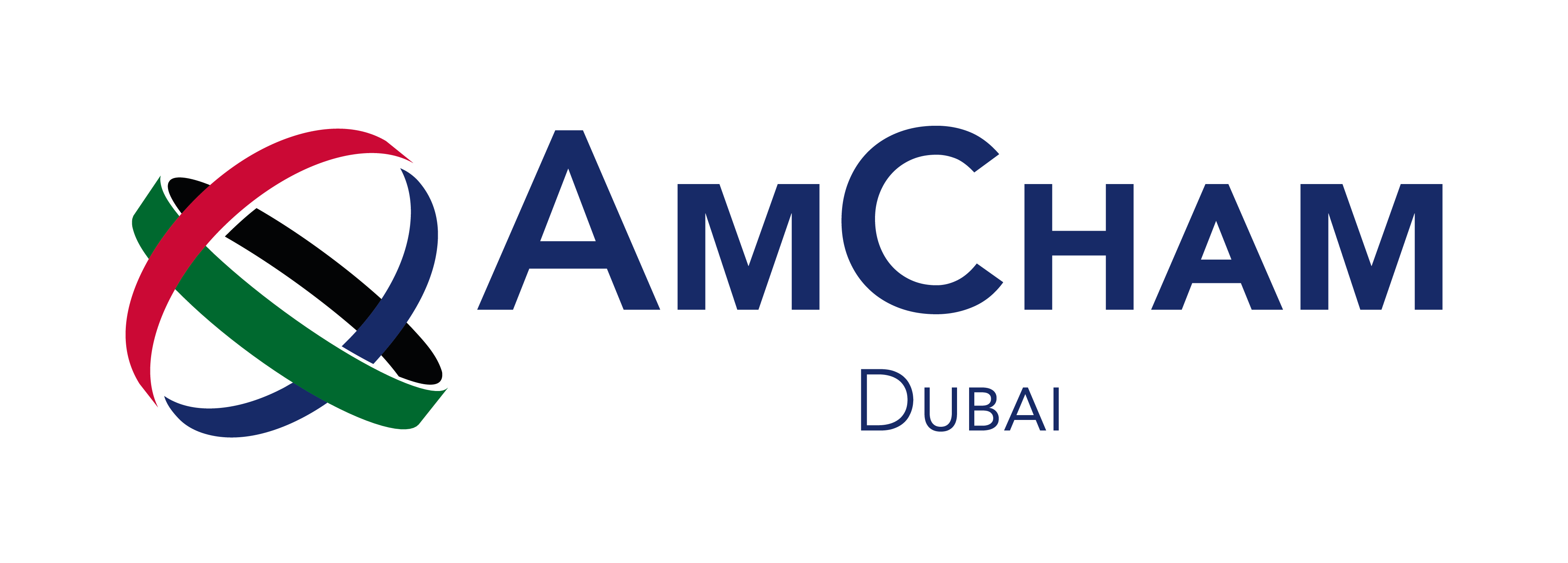 AmCham-Logo_Website