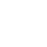 Icon - Earth-globe white